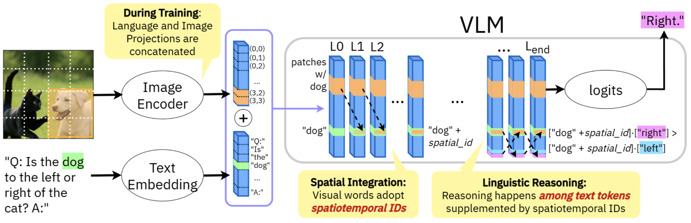 Linear Mechanisms for Spatiotemporal Reasoning (Kang et al. 2026)